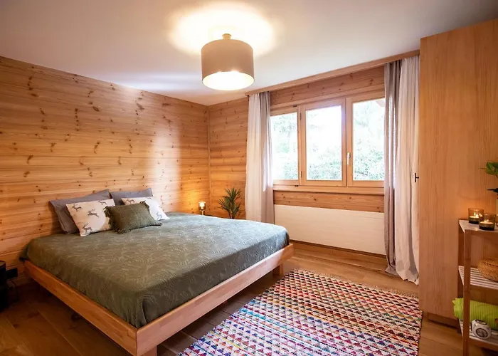 Ambassadeur 12 By Interhome Appartamento *