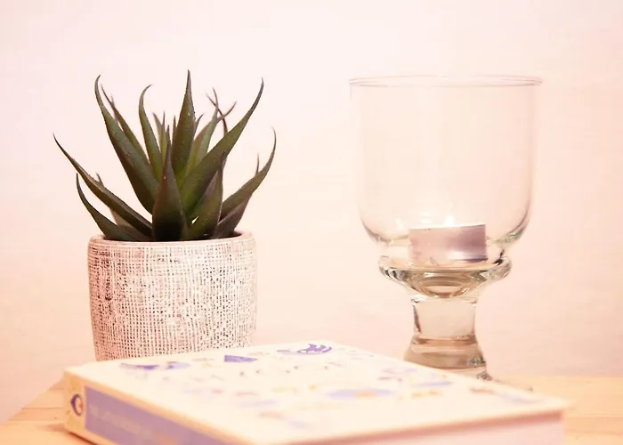 Ambassadeur 12 By Interhome Appartamento *