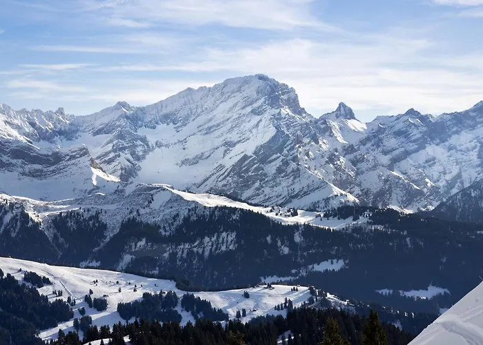 Ambassadeur 12 By Interhome Appartamento