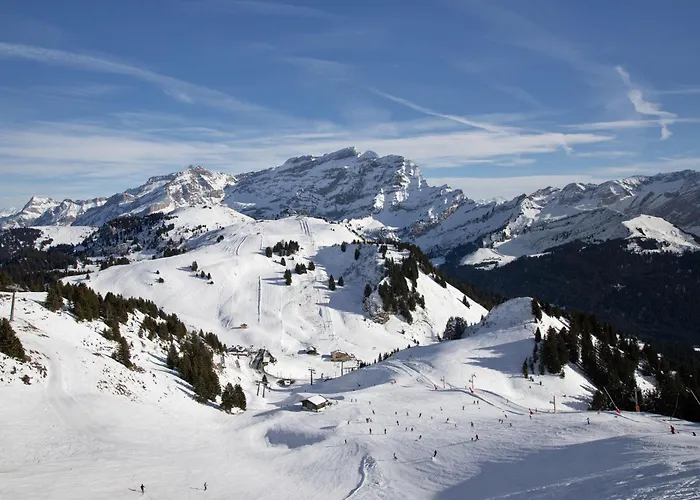 Ambassadeur 12 By Interhome Villars-sur-Ollon