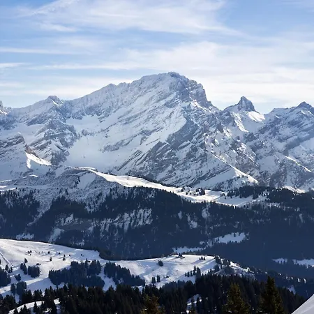 Ambassadeur 12 By Interhome Appartement