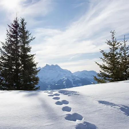 Ambassadeur 12 By Interhome Villars-sur-Ollon