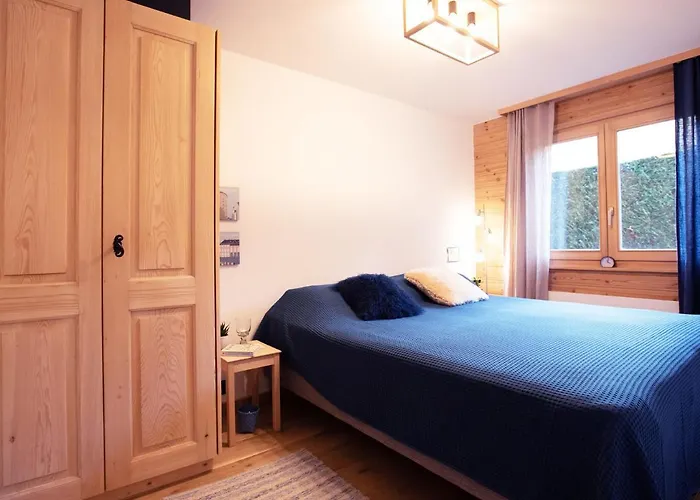 Ambassadeur 12 By Interhome *