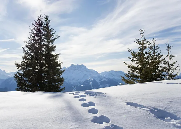 Ambassadeur 12 By Interhome Villars-sur-Ollon